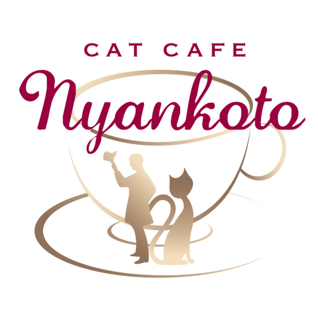 高田馬場にある猫カフェcat cafe にゃんことです🐱可愛いにゃんずの画像を呟きます♪ TikTok→ https://t.co/5uLZlohPCD Instagram→ https://t.co/XbnvDslAlp