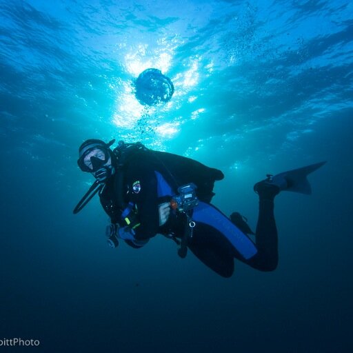 techie, avid scuba diver, underwater photography enthusiast, naturalist