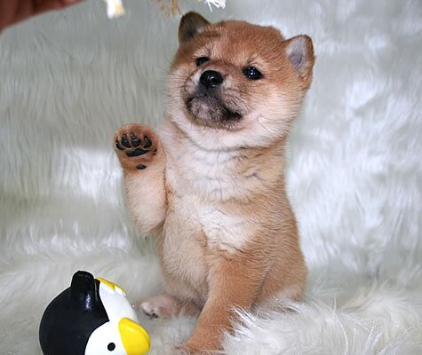 lowtmsexaenclk's profile picture. 