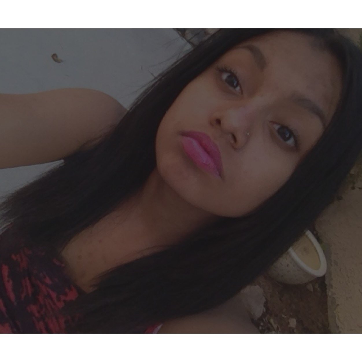 new twitter.