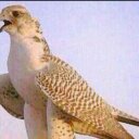 جناب الأمير (@0o02020o0) Twitter