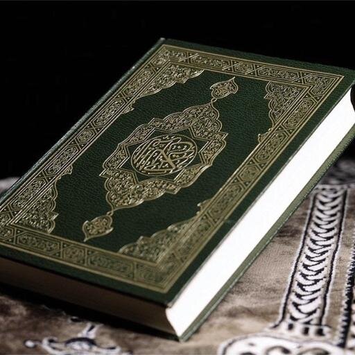 ShokranYousif's profile picture. 