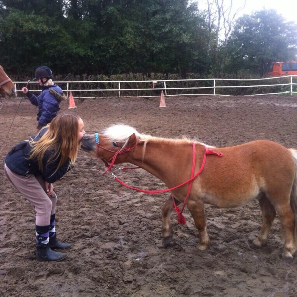 Hoi ! Ik ben Milla en ik heb een showteam samen met mijn lieve lease pony joost ❤️ Vooral NH ❤️