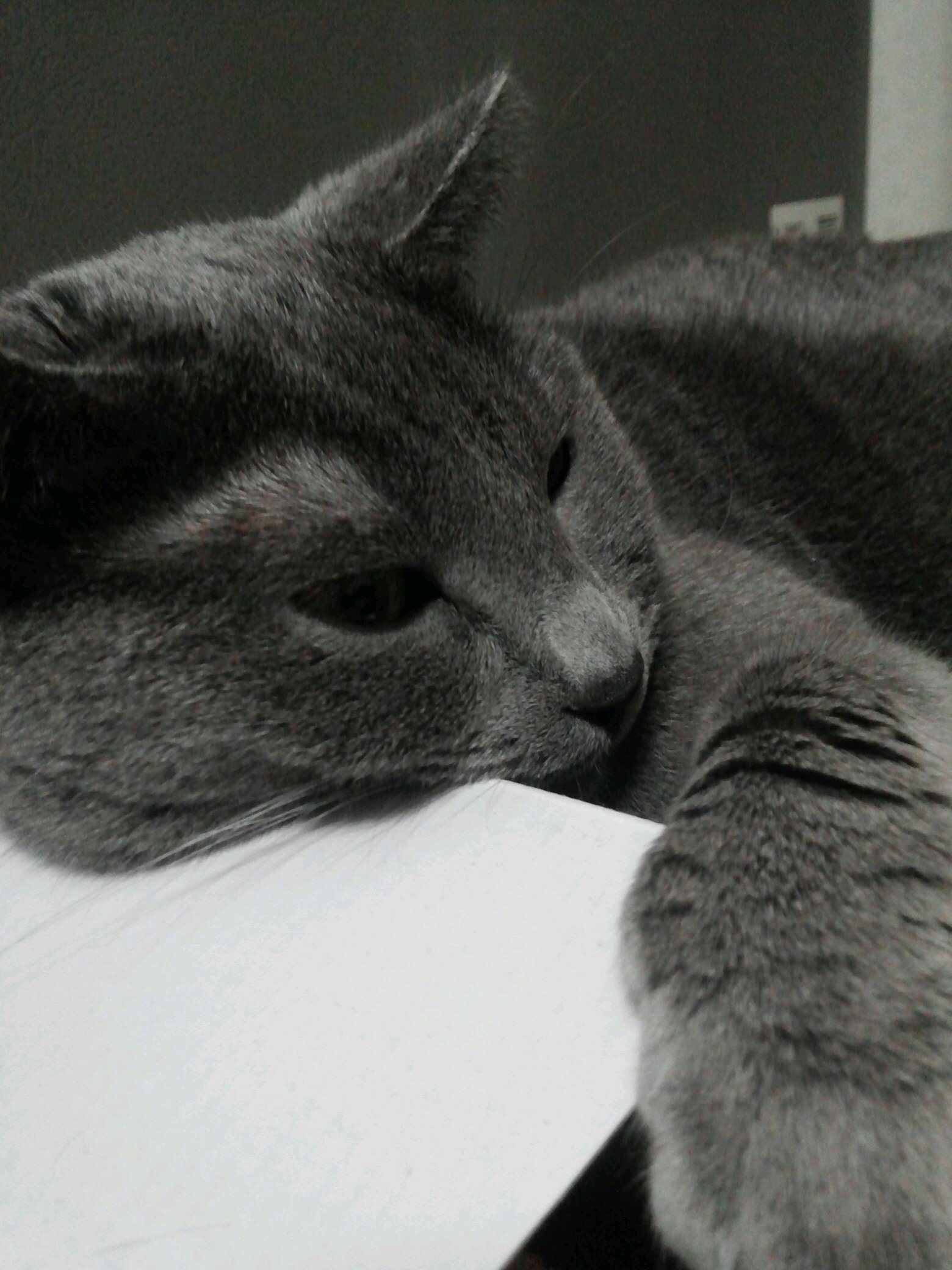 dongchimiheang's profile picture. 