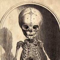 Gillycat (@gillycat74) 's Twitter Profile