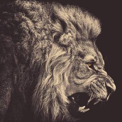 A 110% Black owned online Newspaper whose agenda is the ushering in of Africa's re-birth.