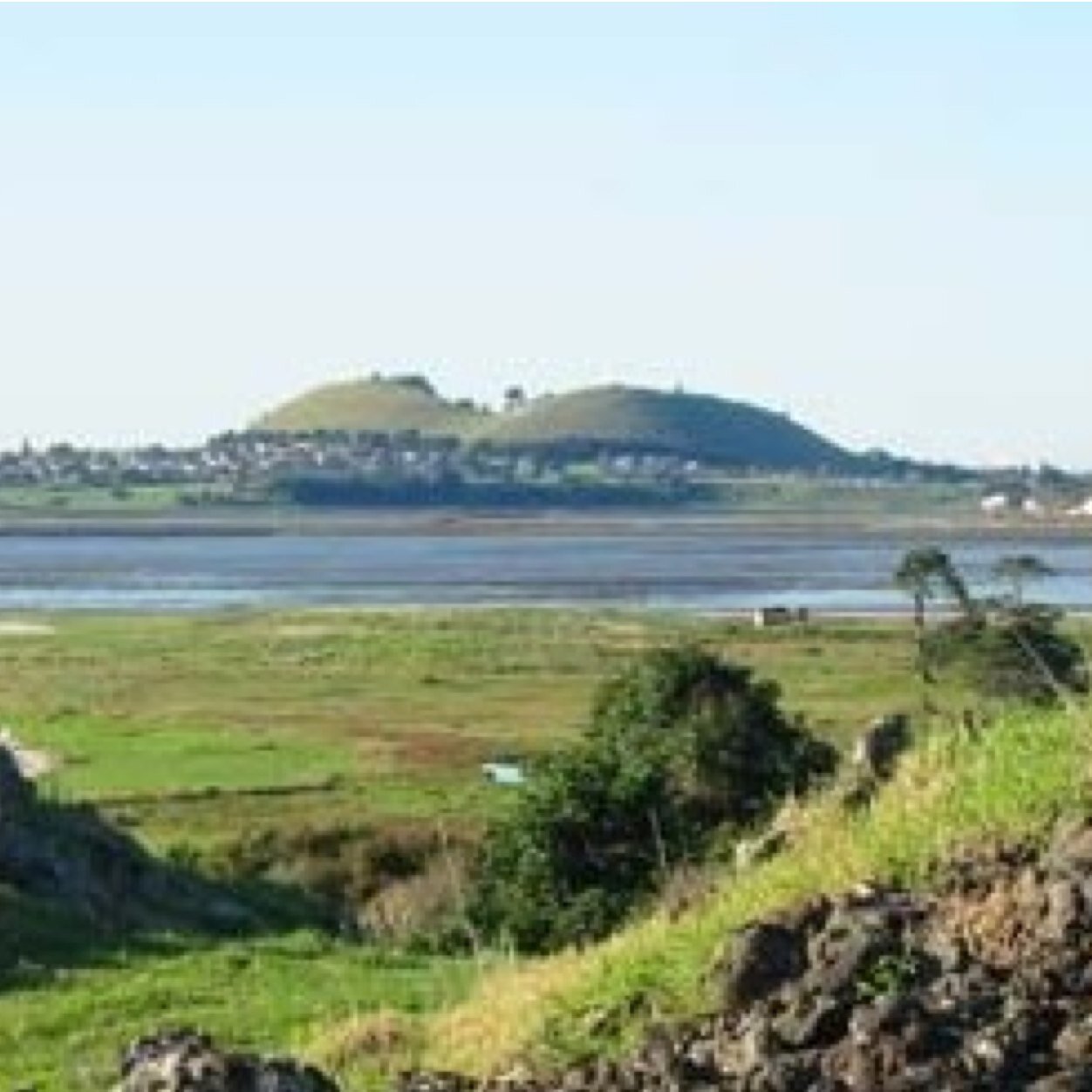 MangereBridge_'s profile picture. 