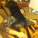 Brian Piatt  - @brianp702 - Twitter