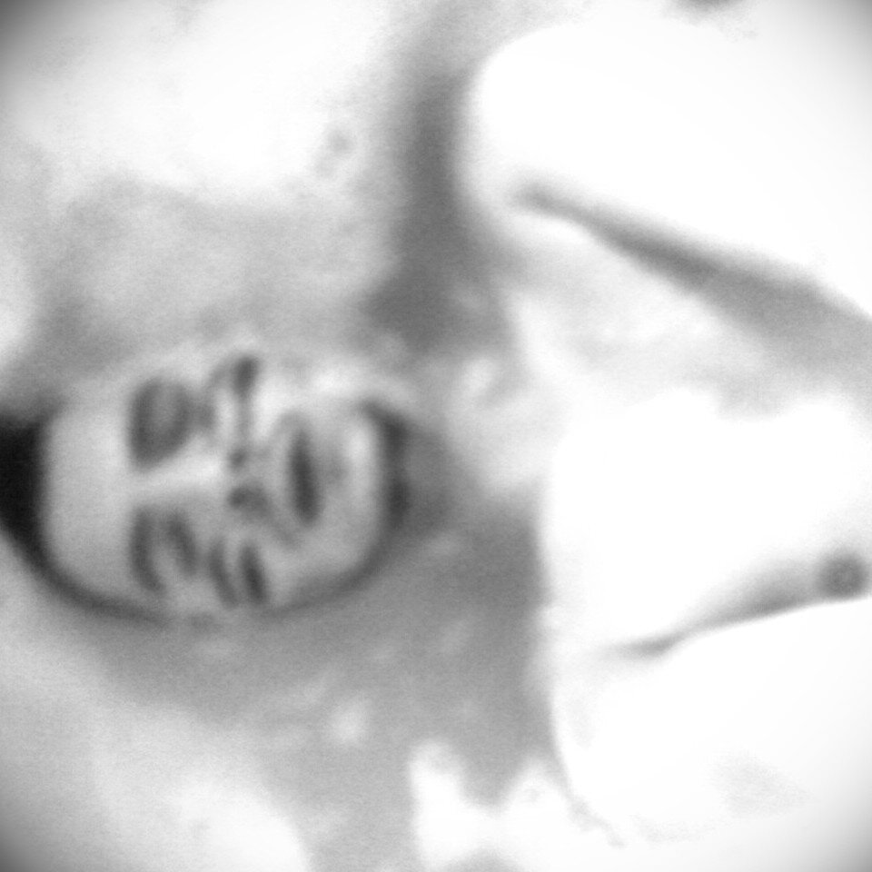 maelbelaf's profile picture. Edutien Mannequien  Casting-Book.fr Styliste           SnapChat : Mael.Bela                                                                 Paris Milan Valence