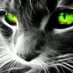 Mrs Morante (@be4evergreatful) Twitter profile photo