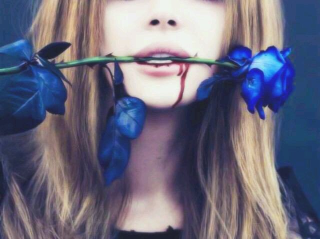 毒の薔薇 動物いじめる奴は死ね てかまじで死刑でいいと思う 自分より遥かに弱い立場の生き物いじめて満足してるとかゴミとしか考えられない 生まれてきたのが間違いだ