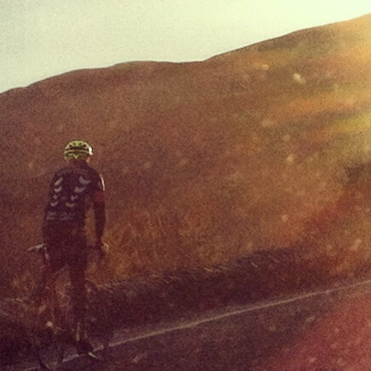 Time Trials, training and our Whippet Vos fill most of my time!