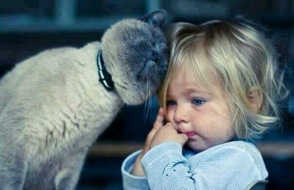 Try 2 not judge the book from its cover, u dun have the right 2 judge some1's life, its NOT UR life & U be urself, never change urself just 2 impress some1 else