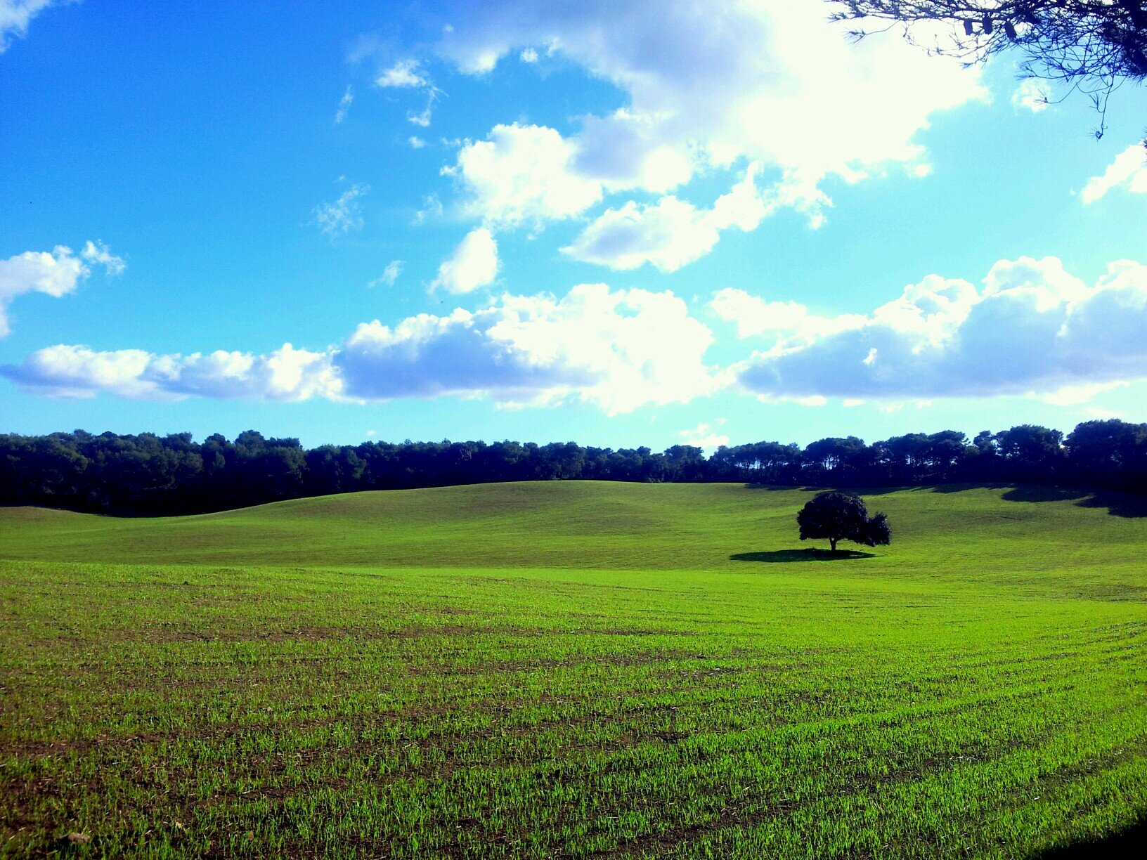 beeleenss's profile picture. 