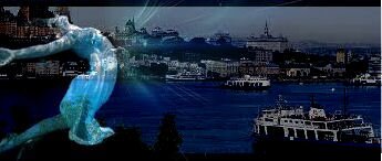 ProgrammePhenix's profile picture. Club d'investissement Phénix : Le comportement suivant l'axe d'augmentation du potentiel de vie