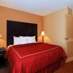 comfortsuites21's profile picture. 