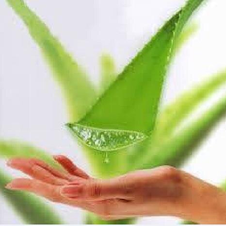 Bienvenidos al Club del Aloe y la salud, Somos lideres en: 
NUTRICION.
BELLEZA, TRATAMIENTOS.

TIENDA ON LINE: : http://t.co/YWBjPs8QbZ