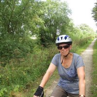 Eileen West (@motherwest) 's Twitter Profile