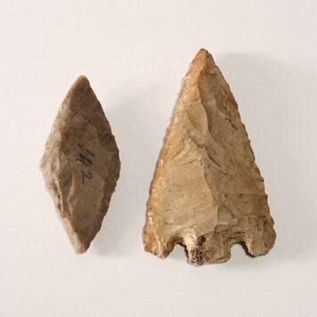 LaSelce's profile picture. Fattoria Didattica - via XXIV maggio 17 Bagnaria Arsa (UD)