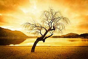 Hali4ka's profile picture. 