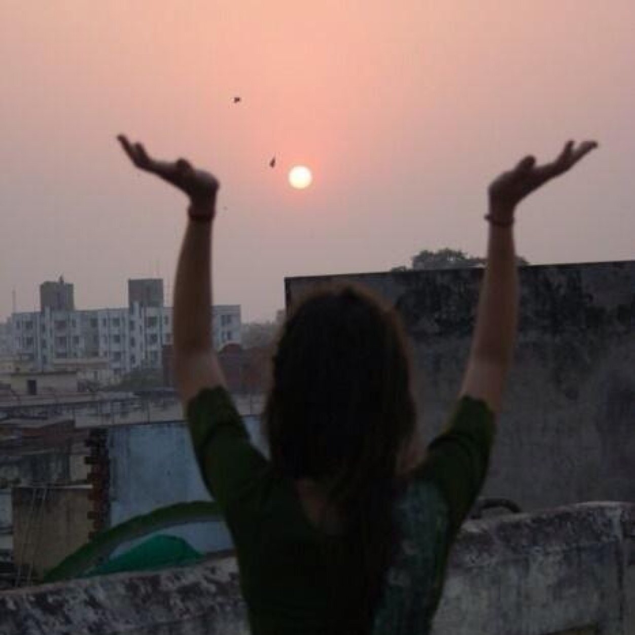 mathalaw's profile picture. *