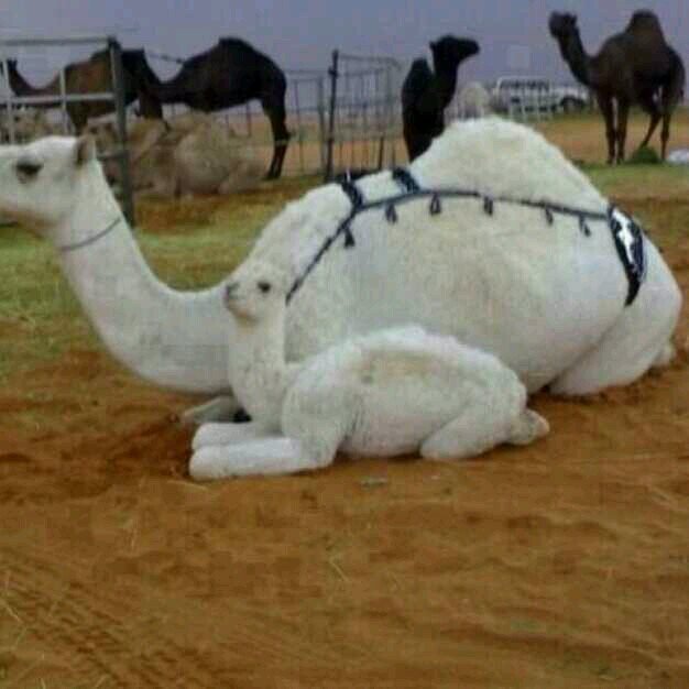 nmmhhi's profile picture. 