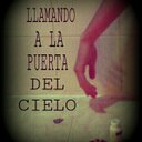 Dylan Norton $ - @DylanNortonX - Twitter