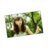 _____io_Ri's profile image
