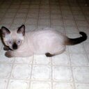 lisbeth hernandez - @lisbeth160872 - Twitter