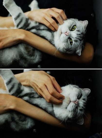 Hi,I`m Lidia, I am from Novosibirsk,and I am 15 I like my parents and friends.and I like shopping  and I am a princess#teamfollowback , # followback , #500aday
