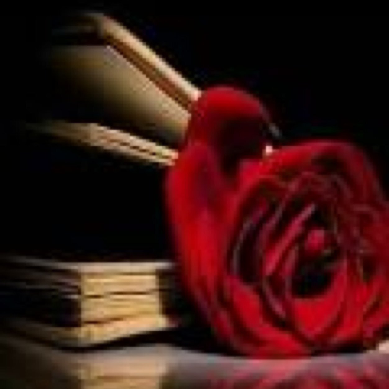 #Law student #In love with writing #15 of May is my BD #Your comments are important #one of my believes (( Respect your self to be Respected ))