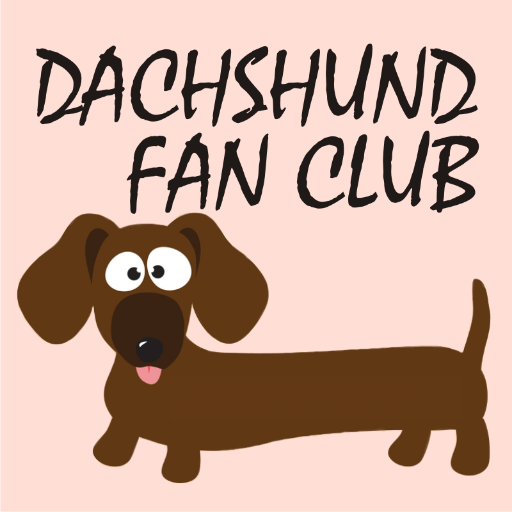 The Dachshund Fan Club is a community where you can find various information, tips, photos and other news about the Dachshunds.