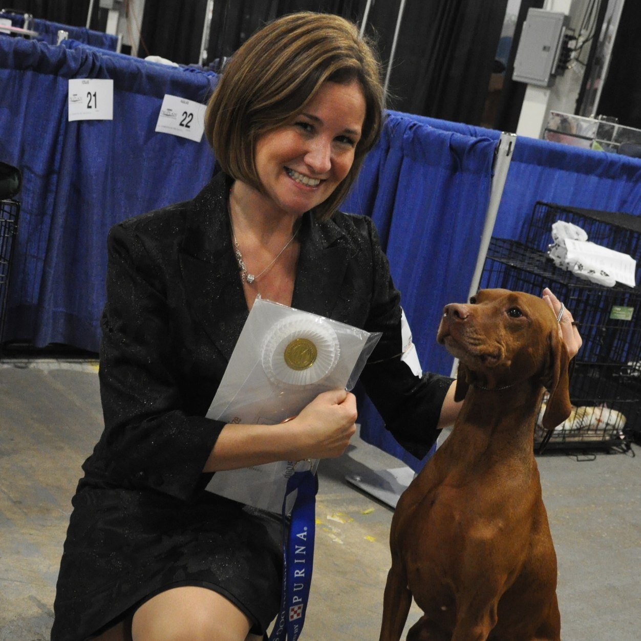 Breeder, owner and professional dog show handler. Find out more about my dogs and involvement within the fancy at: http://t.co/BE4hg9Fb5N