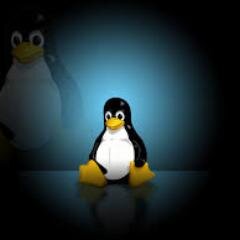 Como profesional y apasionado por el mundo de redes. Específicamente esos desafíos relacionados con Linux, Windows, Networking, Asterisk PBX.