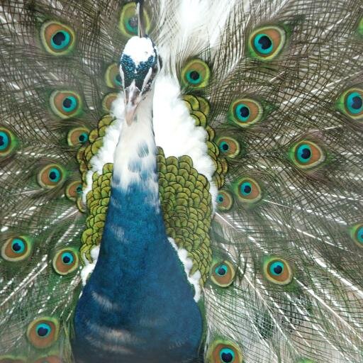 yourpositiveNRG Profile Picture
