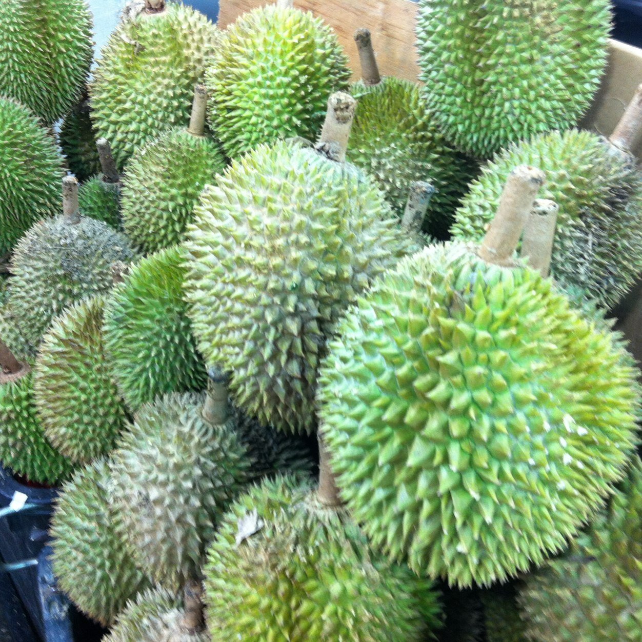 ybchoi0402's profile picture. 