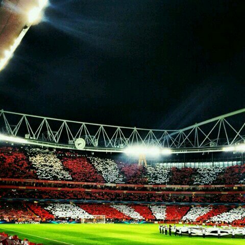 Love the Arsenal