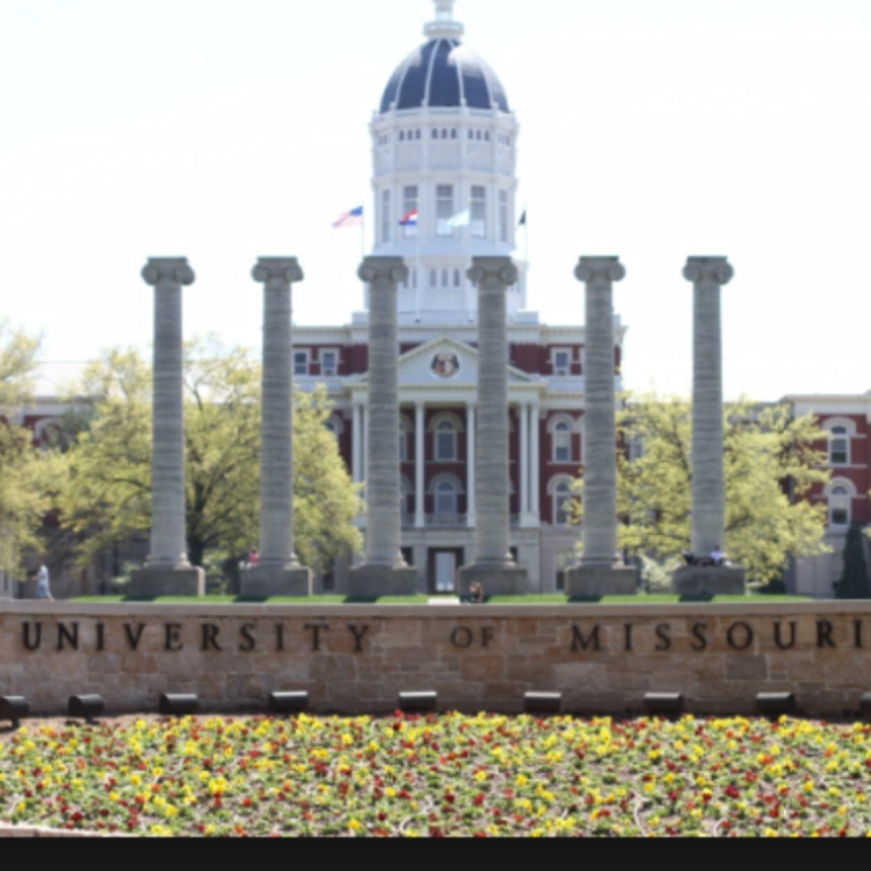 BabesMizzou's profile picture. 