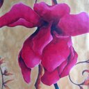 Abby odonnell - @odonnell_abby - Twitter