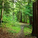 Mark Petree - @MarkRPetree - Twitter