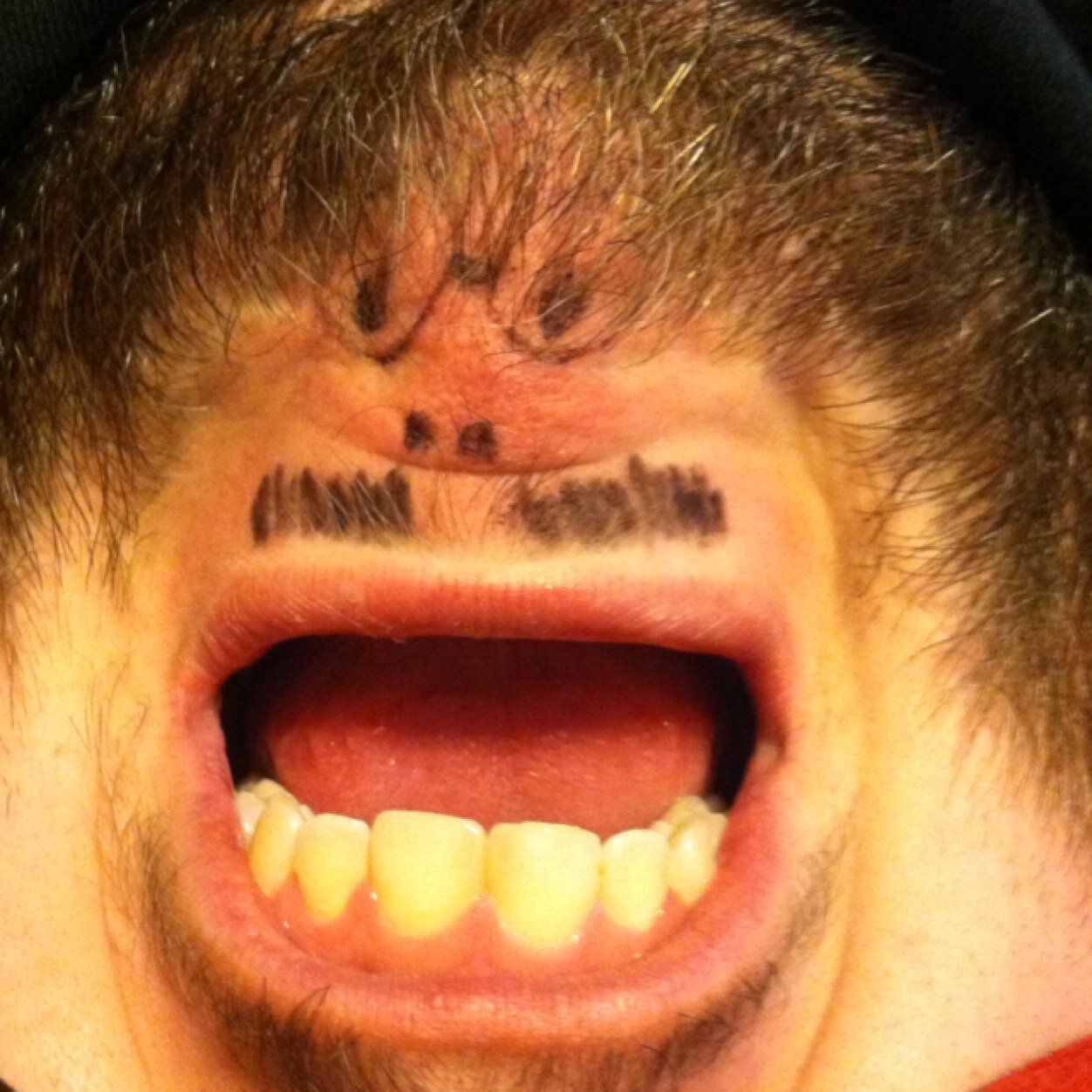 mouthfullofB8s's profile picture. 