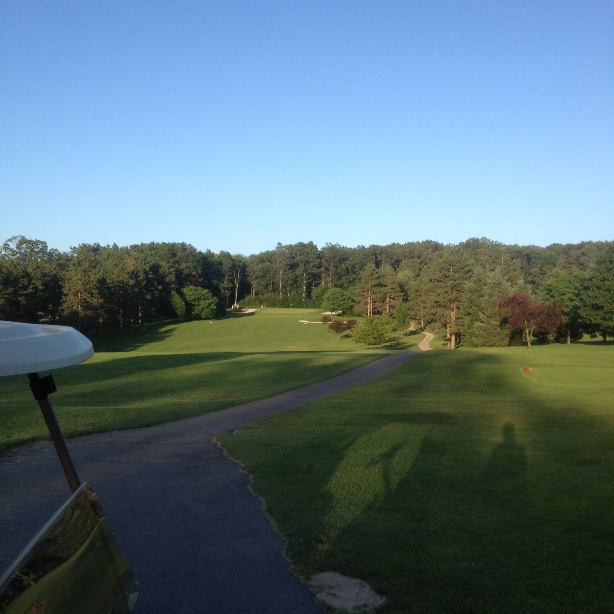 wilypop5_will's profile picture. 