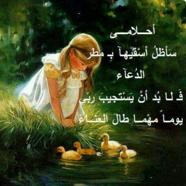 ‏وظني فيكك يا سندي جميل...