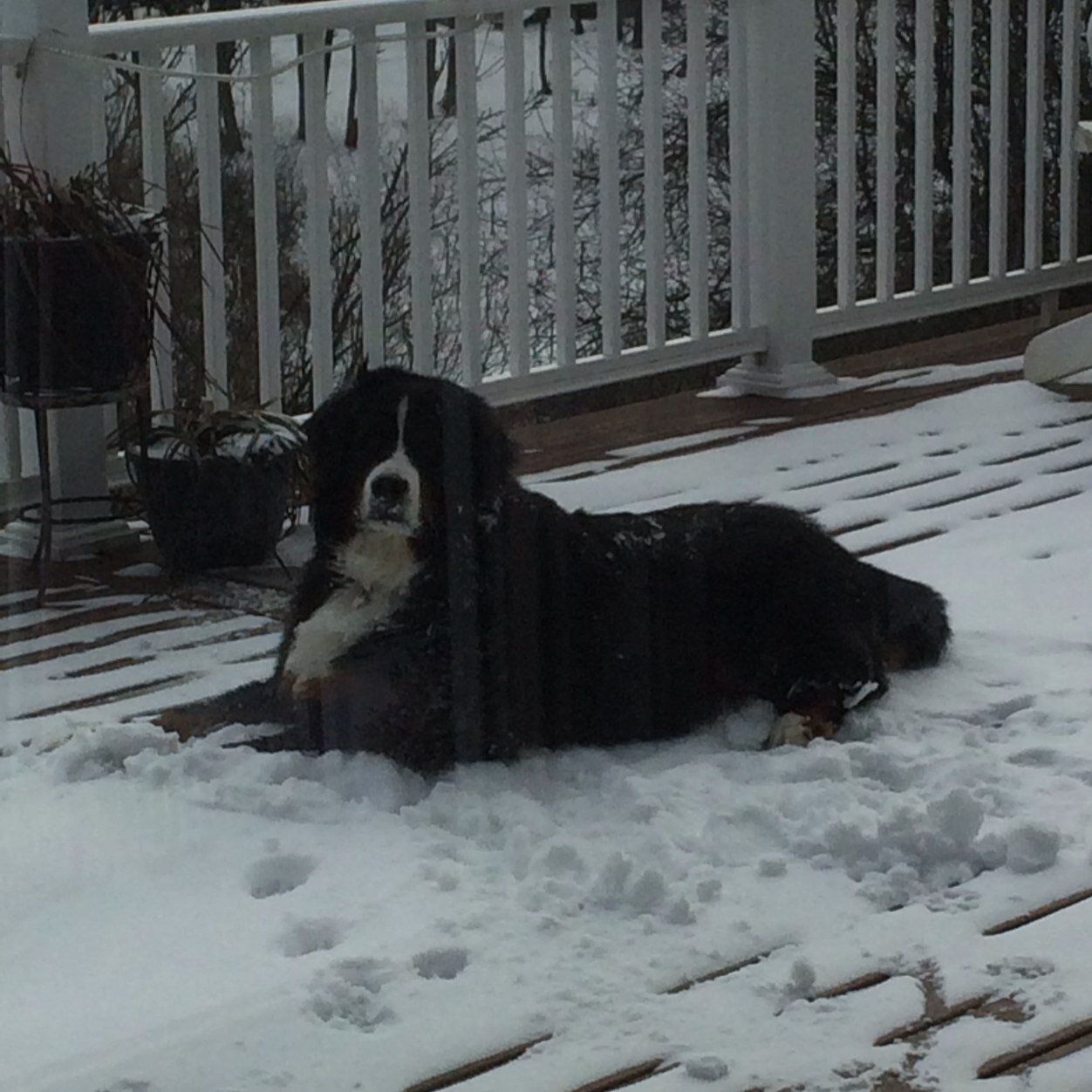 terio_teri's profile picture. 