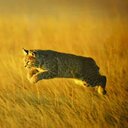 Federico Correa - @FedeCorrea112 - Twitter