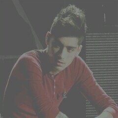 Zayn Malik · single and bisex