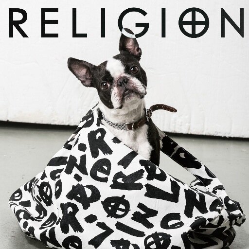 Lucilleboston's profile picture. London based Boston Terrier, working hard to make the world a happier place.