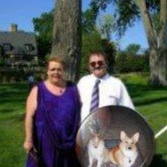 Married 45yrs to a wonderful man. Sheltie(Prancer),Pembroke Welsh Corgi (Lucky), 2 cats Java & Dreamer. Elvis everything & anything.