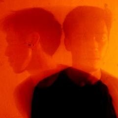 haribewox5's profile picture. 