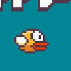 FlappyBirdOnlin's profile picture. 